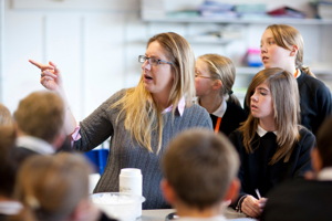 Secondary Teacher