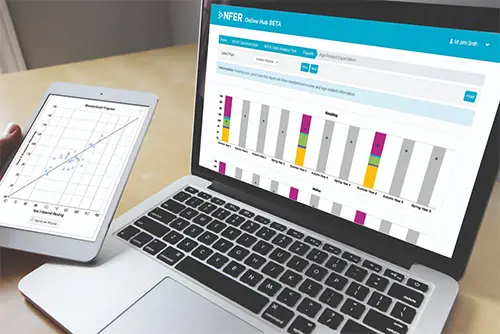 Image of the NFER Tests Analysis Tool